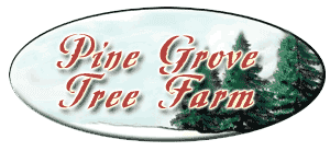 Your Christmas Tree Farm Logo